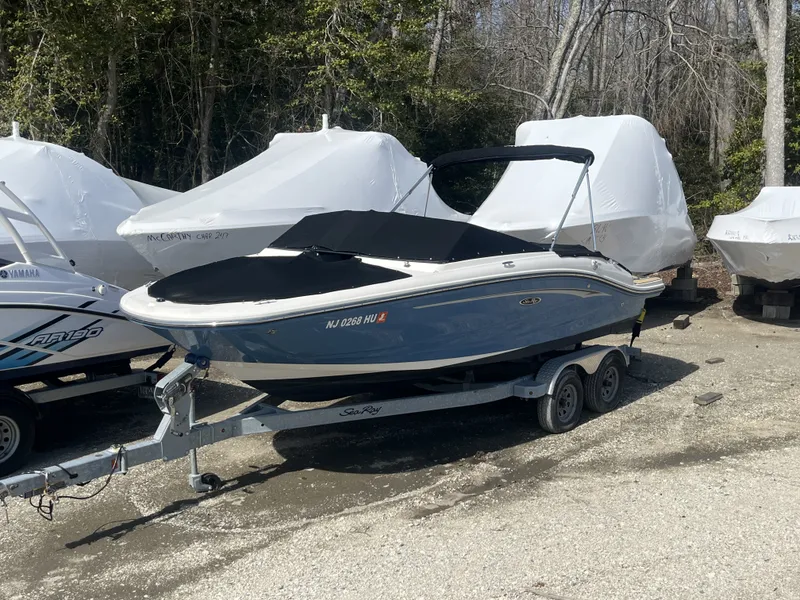 The Image of Sea Ray 190SPX 2021 - 0