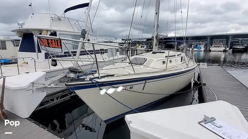 Slide: The Image of O'Day 35 1985 - 12955891