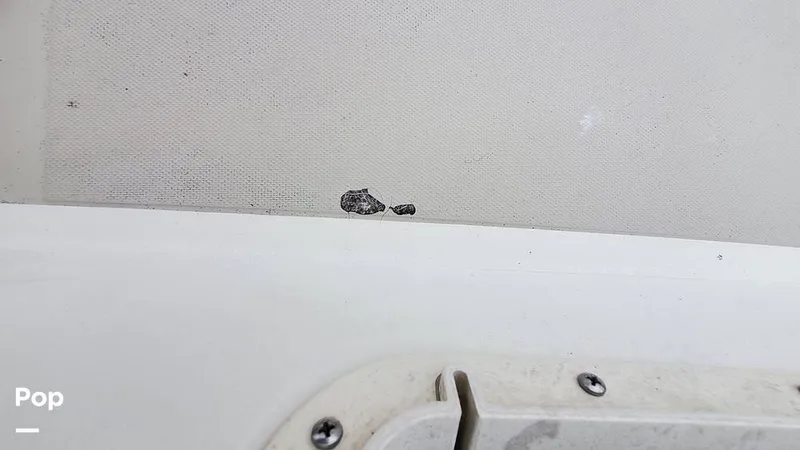 Slide: The Image of O'Day 35 1985 - 12955037