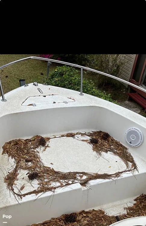 Slide: The Image of Sea Pro 19 2008 - 15285176