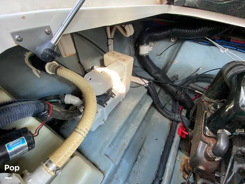 Slide: The Image of Sea Ray 280 Sundancer 2004 - 12949159