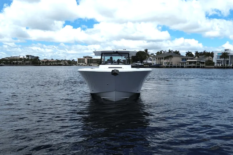 Slide: The Image of Bertram 39CC 2025 - 3