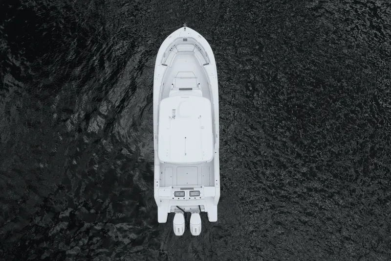 Slide: The Image of Bertram 39CC 2025 - 4