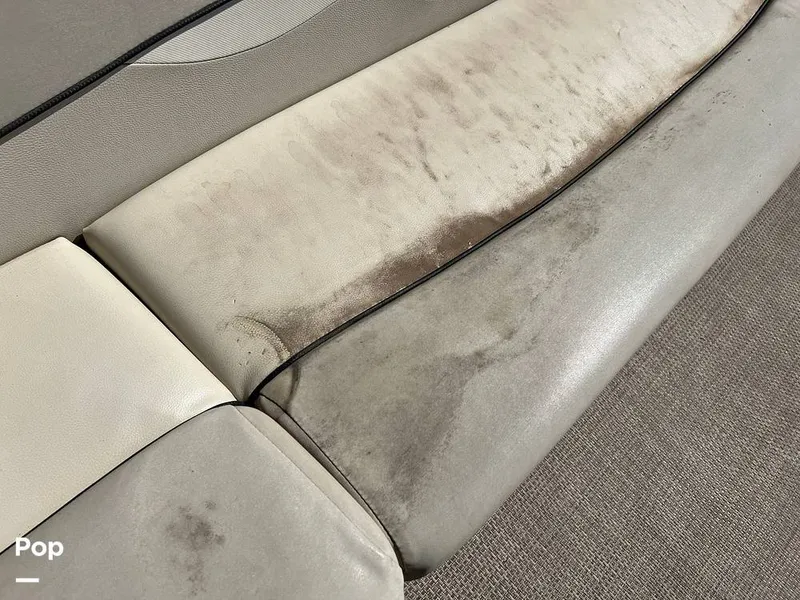 Slide: The Image of Bennington 22SL 2019 - 12934359