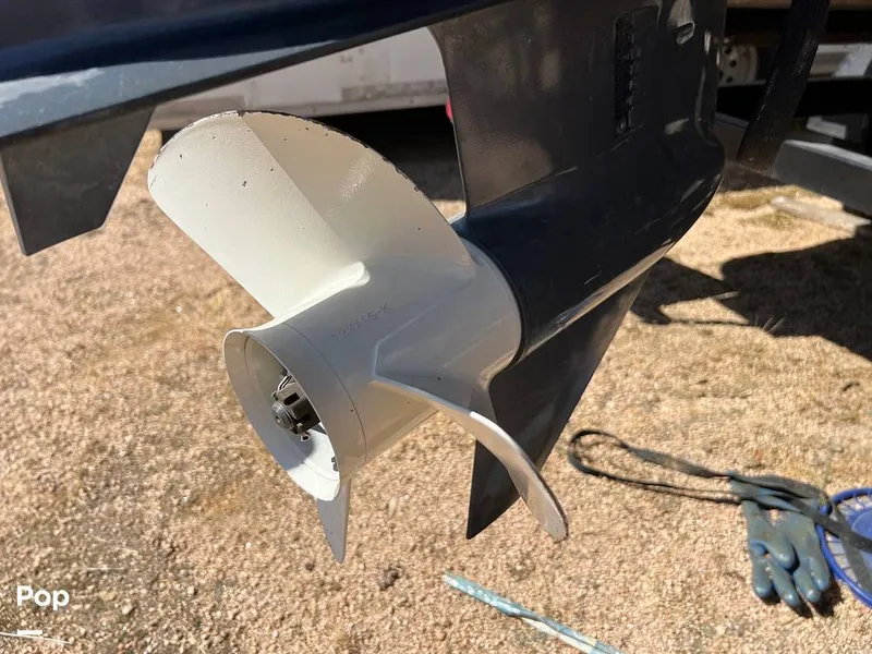 Slide: The Image of Bennington 22SL 2019 - 12934391