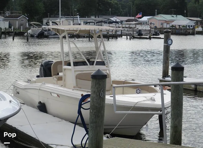 Slide: The Image of Scout 215 XSF 2023 - 14300907