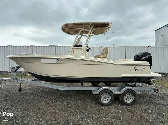 Slide: The Image of Scout 215 XSF 2023 - 15684213