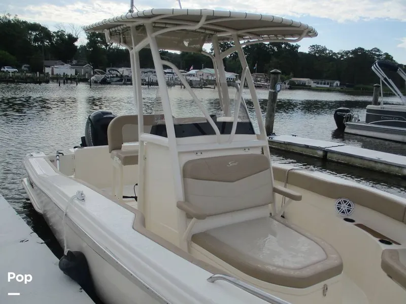 Slide: The Image of Scout 215 XSF 2023 - 14300909