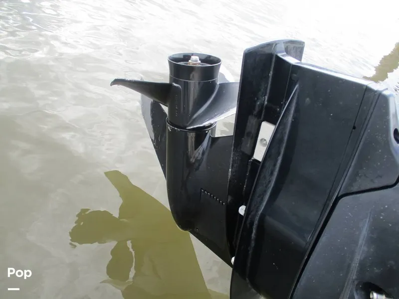 Slide: The Image of Scout 215 XSF 2023 - 14300917