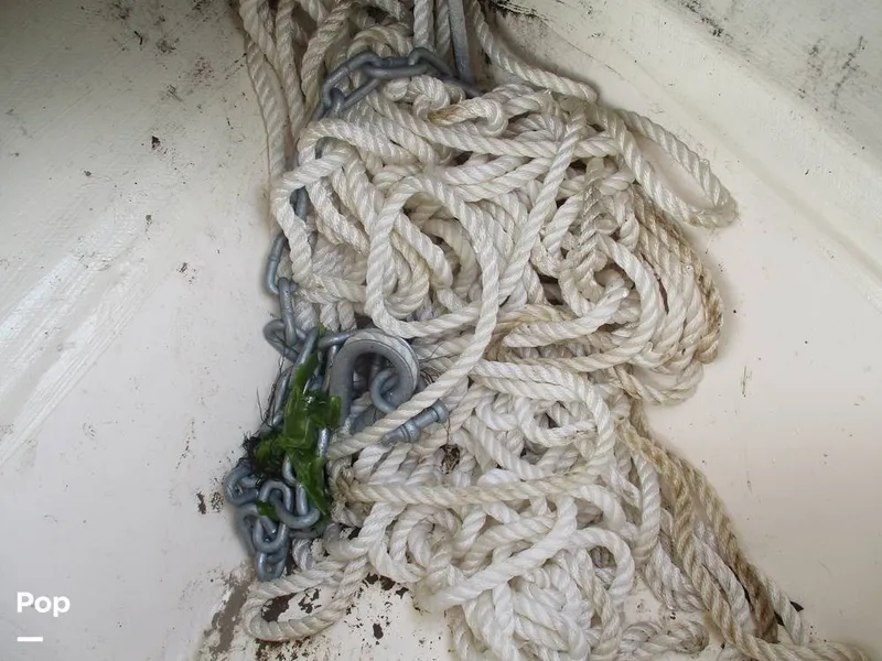 Slide: The Image of Scout 215 XSF 2023 - 14300951