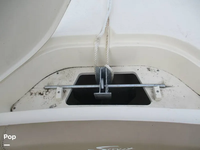 Slide: The Image of Scout 215 XSF 2023 - 14300953