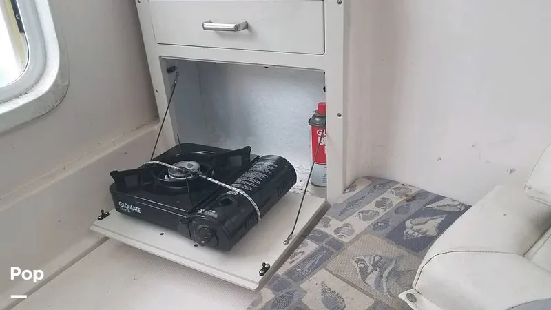 Slide: The Image of Polar 2300 WA 2005 - 13021257