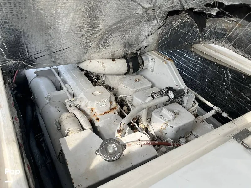 Slide: The Image of Black Watch 30 1988 - 13122657