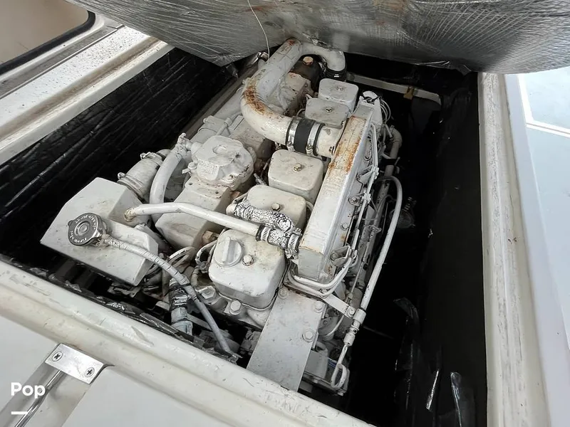 Slide: The Image of Black Watch 30 1988 - 13123304