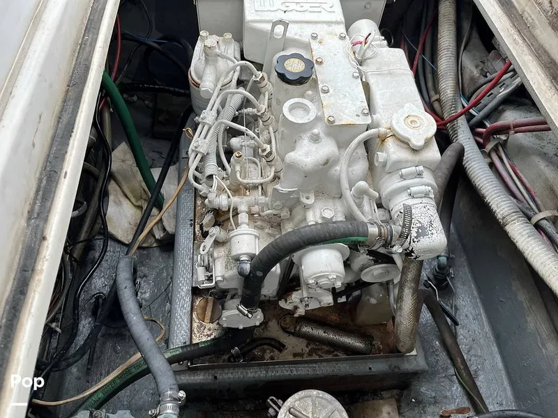 Slide: The Image of Black Watch 30 1988 - 13123311