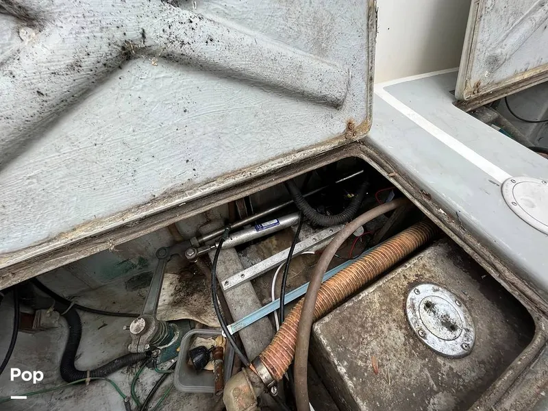 Slide: The Image of Black Watch 30 1988 - 13122513