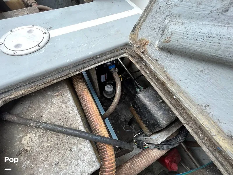 Slide: The Image of Black Watch 30 1988 - 13122514