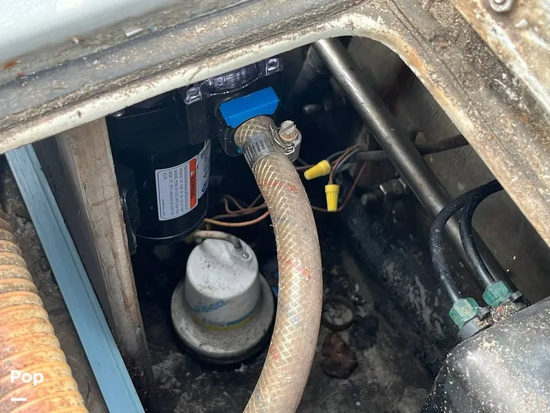 Slide: The Image of Black Watch 30 1988 - 13122516