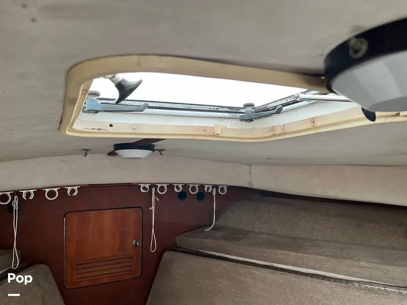 Slide: The Image of Hatch - 13122616