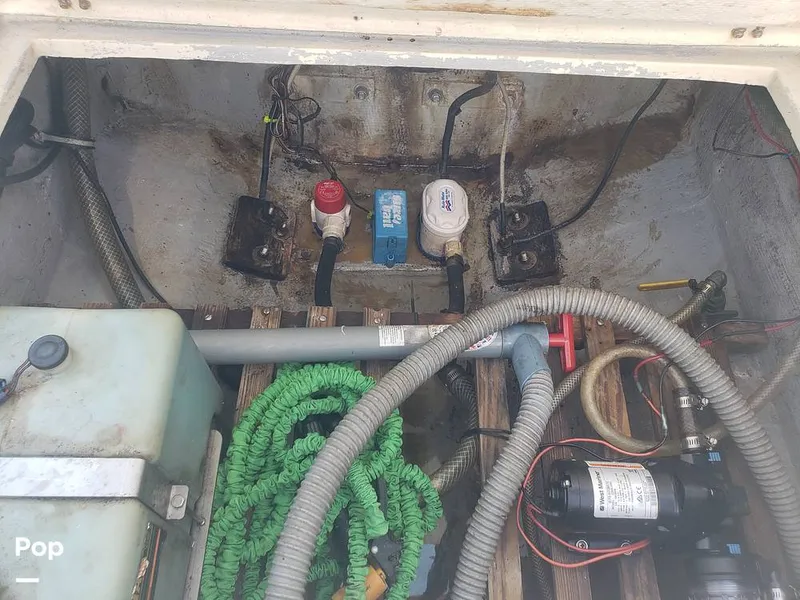 Slide: The Image of Answer 22 WA Fish Master 1988 - 13111810