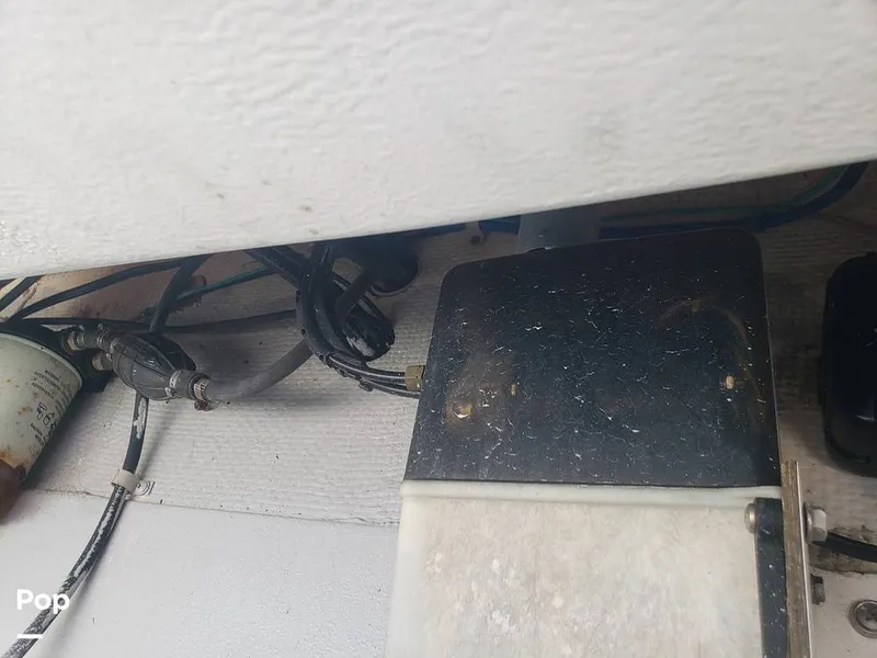 Slide: The Image of Answer 22 WA Fish Master 1988 - 13111814