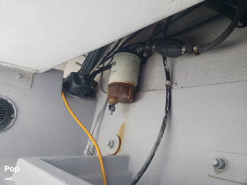 Slide: The Image of Answer 22 WA Fish Master 1988 - 13111815