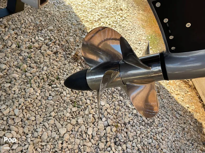 Slide: The Image of Chaparral 21 Surf 2021 - 13049612