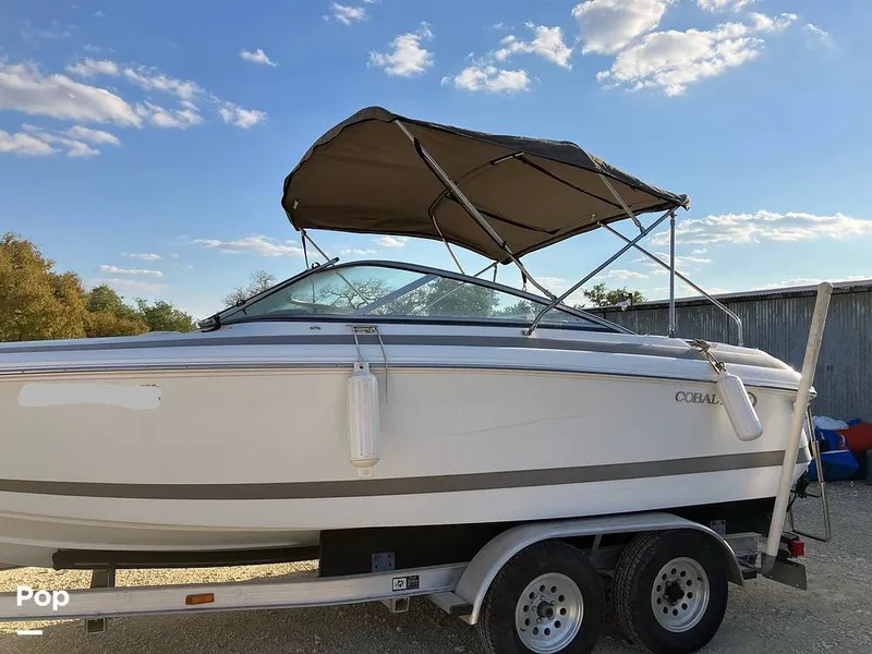 The Image of Cobalt 206 2000 - 13245253