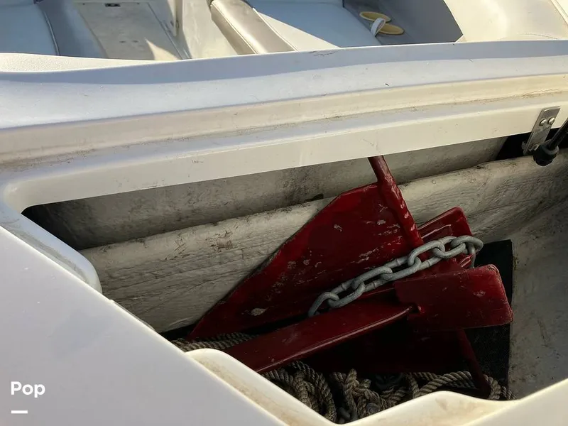 Slide: The Image of Cobalt 206 2000 - 13176706