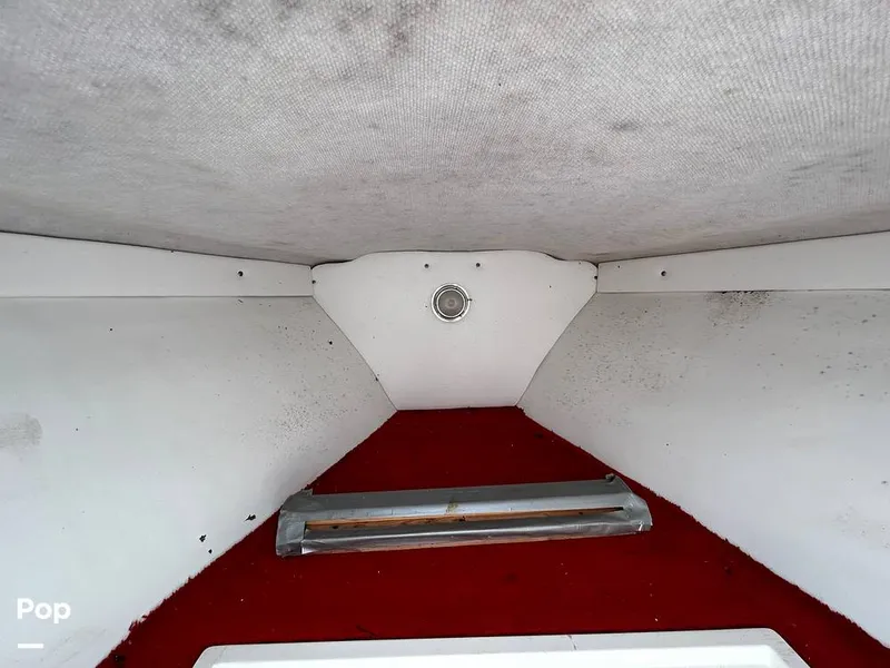 Slide: The Image of Baja Sport Fisherman 1992 - 13132904