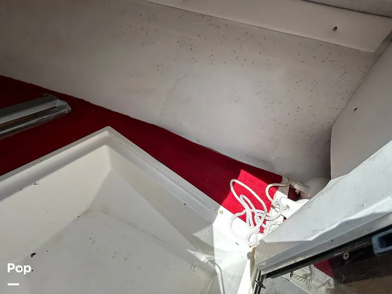 Slide: The Image of Baja Sport Fisherman 1992 - 13132906