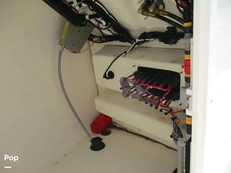 Slide: The Image of Cobia 220 DC 2023 - 13130244
