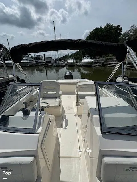 Slide: The Image of Cobia 220 DC 2023 - 15674466