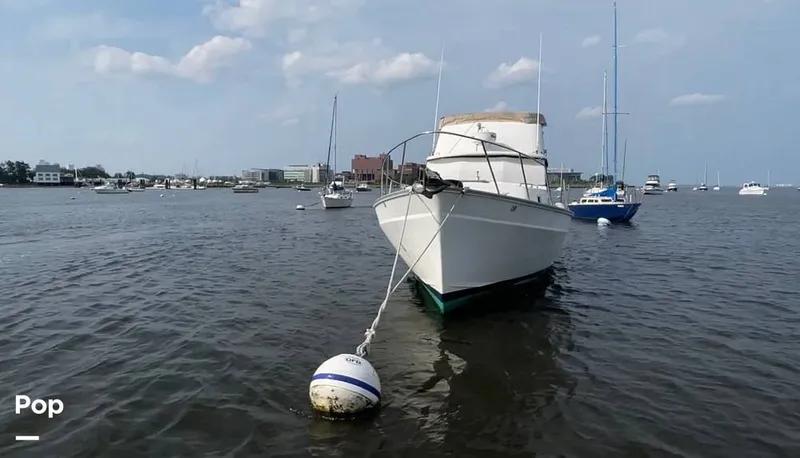 Slide: The Image of Mainship 34 1978 - 13093984