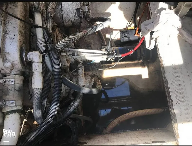 Slide: The Image of Cruisers 4280 Express Bridge 1988 - 13563417