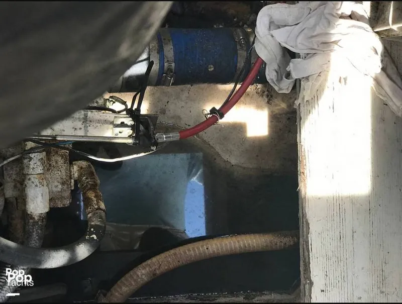 Slide: The Image of Cruisers 4280 Express Bridge 1988 - 13564207