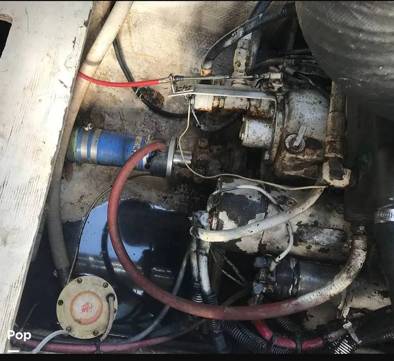 Slide: The Image of Cruisers 4280 Express Bridge 1988 - 13564215