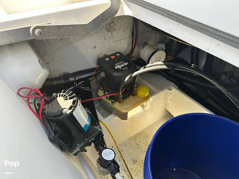 Slide: The Image of Sportsman Masters 227 Platinum 2020 - 13122338