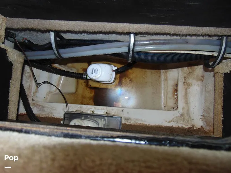 Slide: The Image of Chaparral 250 Signature 2008 - 13155225