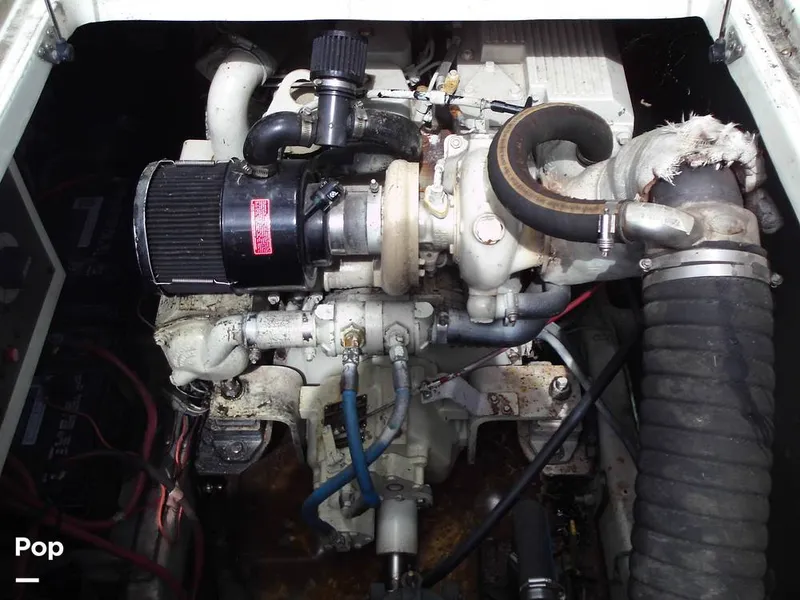 Slide: The Image of Starboard - 13118788