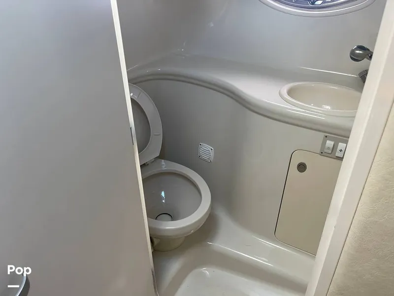 Slide: The Image of Head - 13124030