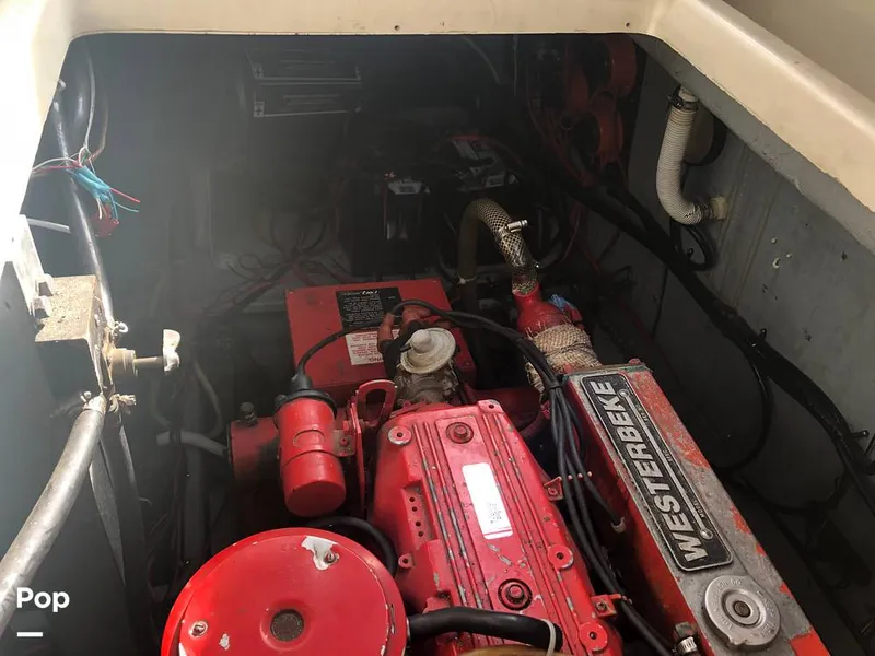 Slide: The Image of Regal Commodore 360 1986 - 13541805