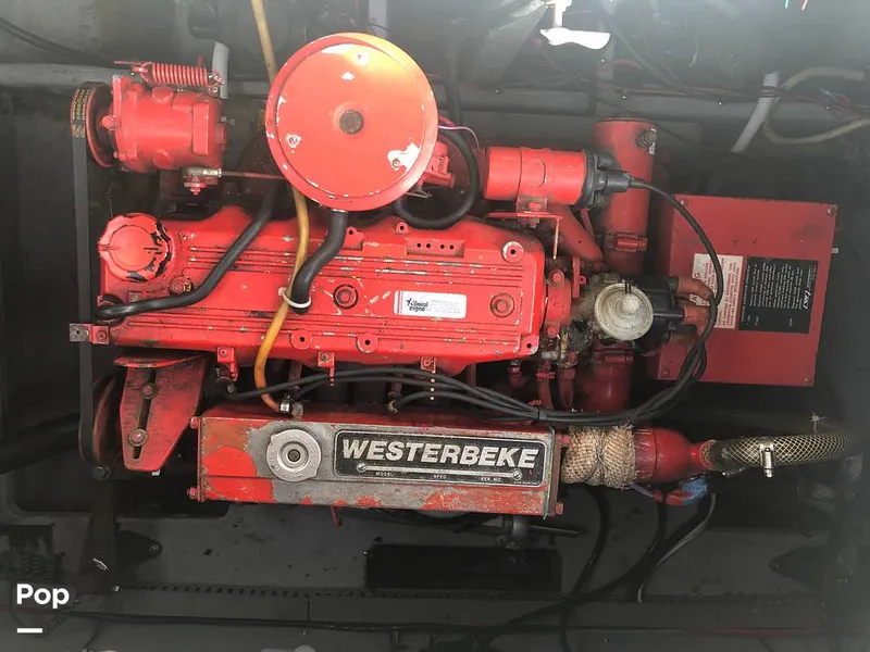 Slide: The Image of Regal Commodore 360 1986 - 13541806