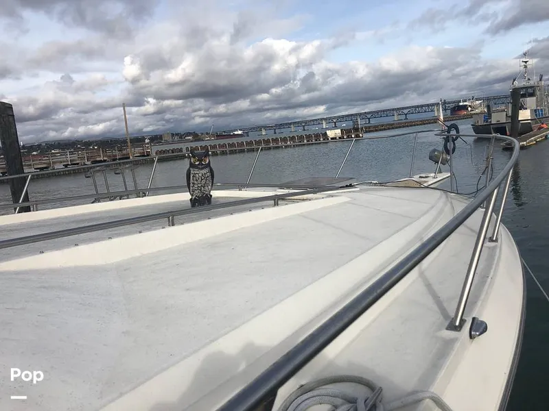 Slide: The Image of Regal Commodore 360 1986 - 13541710