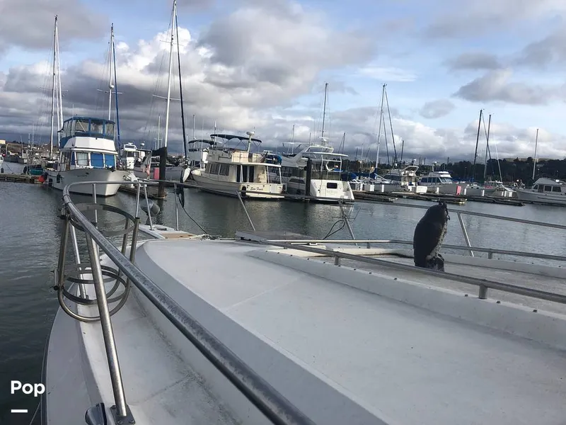 Slide: The Image of Regal Commodore 360 1986 - 13541720