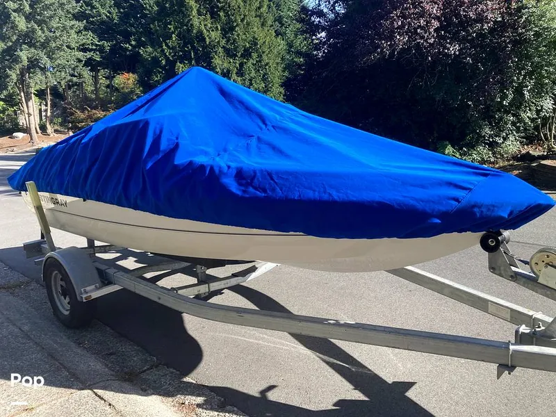 Slide: The Image of Stingray 180rx 2006 - 13131750