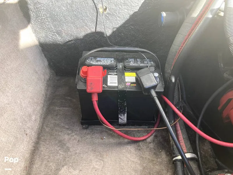 Slide: The Image of Stingray 180rx 2006 - 13131846