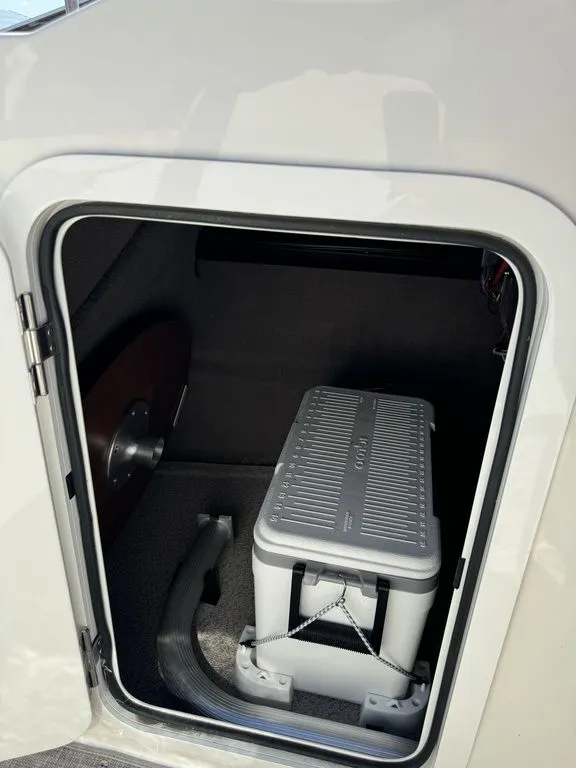 Slide: The Image of Stingray 231DC 2024 - 9