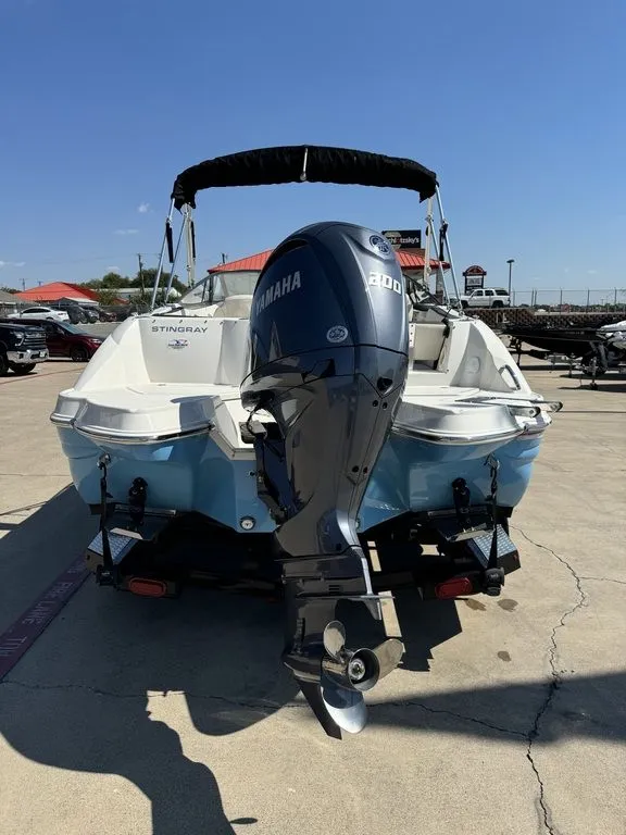 Slide: The Image of Stingray 231DC 2024 - 2
