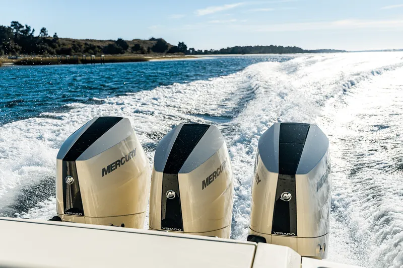 Slide: The Image of Scout 377 LXF 2025 - 10